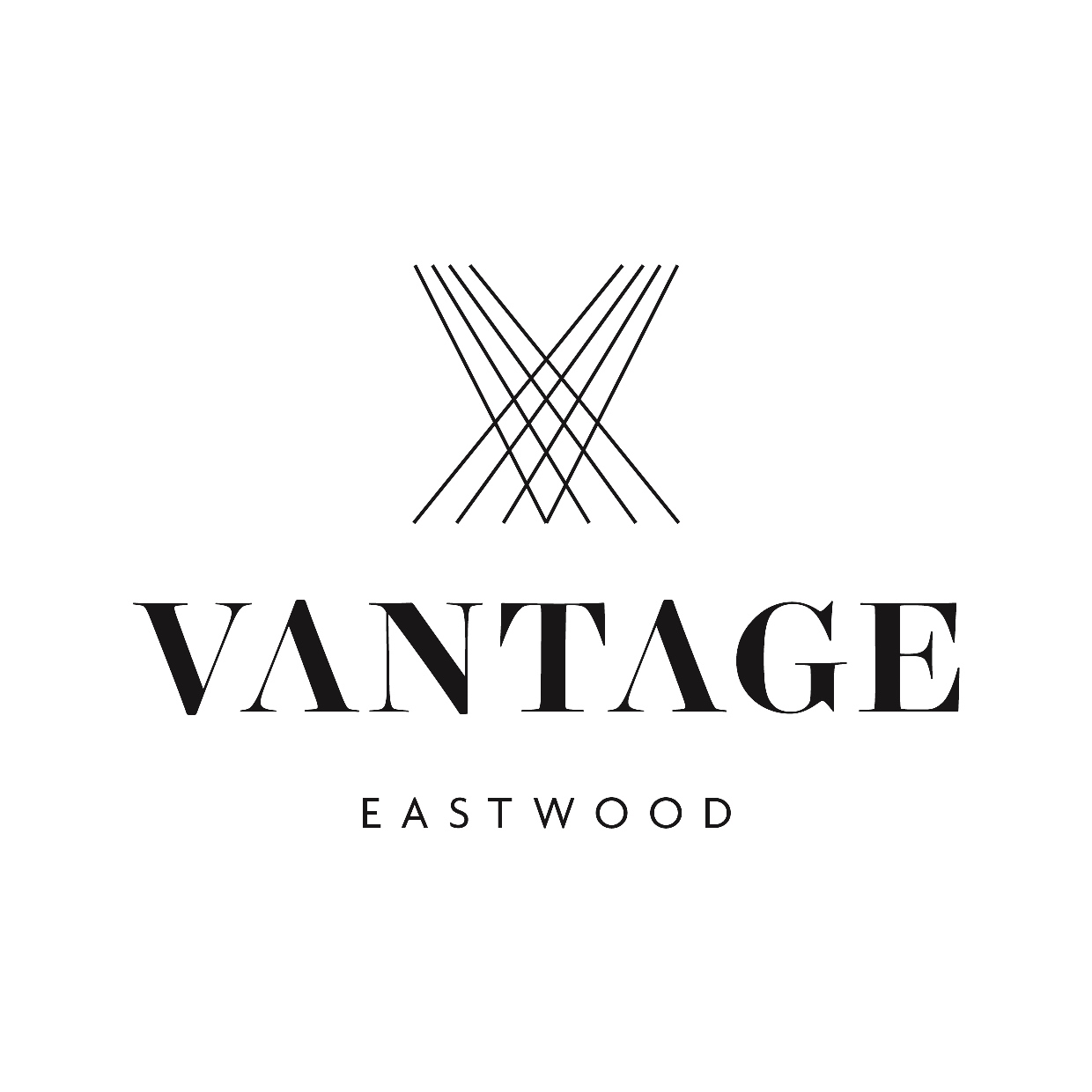 Vantage_Logo_Branding_Artwork